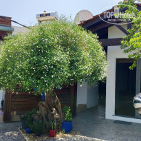 фото из отзыва ID 2041169