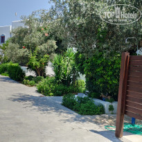 фото из отзыва ID 2041169