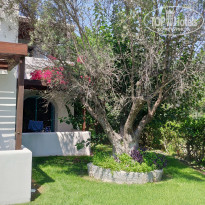 фото из отзыва ID 2041169