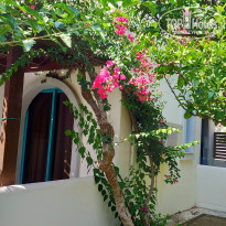 фото из отзыва ID 2041169