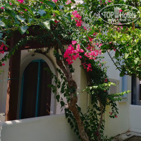 фото из отзыва ID 2041169