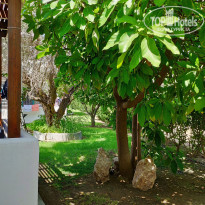 фото из отзыва ID 2041169