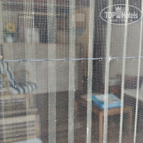 фото из отзыва ID 2041169