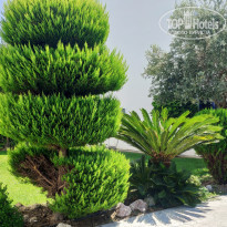 фото из отзыва ID 2041169