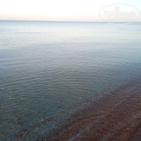 фото из отзыва ID 2041242