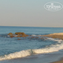 фото из отзыва ID 2041309