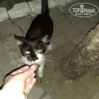 фото из отзыва ID 2041318