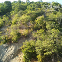 фото из отзыва ID 2041323