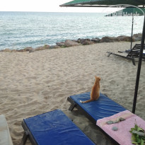 фото из отзыва ID 2041323