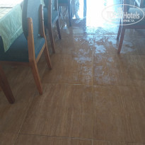 фото из отзыва ID 2041381