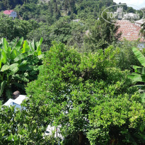 фото из отзыва ID 2041459