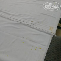 фото из отзыва ID 2041492