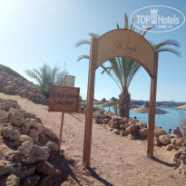 фото из отзыва ID 2041576