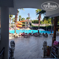 фото из отзыва ID 2041586