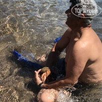 фото из отзыва ID 2041643