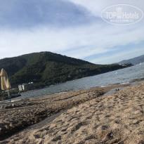 фото из отзыва ID 2041643