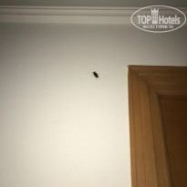 фото из отзыва ID 2040763