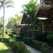 фото из отзыва ID 2041142