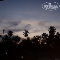 фото из отзыва ID 2041142