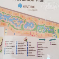 фото из отзыва ID 2041808