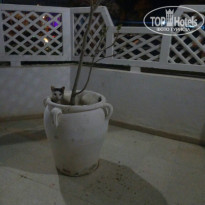 фото из отзыва ID 2041876