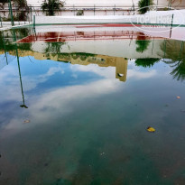 фото из отзыва ID 2041890