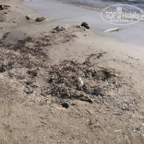 фото из отзыва ID 2041930