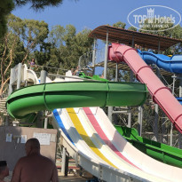 фото из отзыва ID 2041949