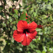 фото из отзыва ID 2041949