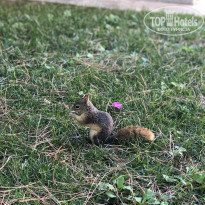 фото из отзыва ID 2041949