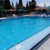 фото из отзыва ID 2042006