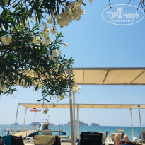 фото из отзыва ID 2042025