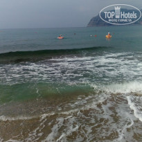 фото из отзыва ID 2042010