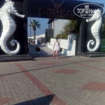 фото из отзыва ID 2042010