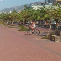 фото из отзыва ID 2042010