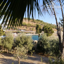 фото из отзыва ID 2042052