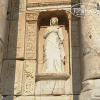 фото из отзыва ID 2042052