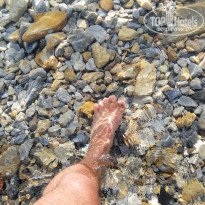 фото из отзыва ID 2042052