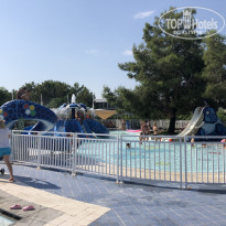 фото из отзыва ID 2042066