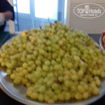 фото из отзыва ID 2042045