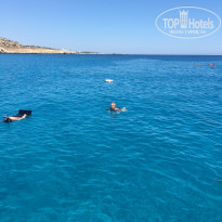 фото из отзыва ID 2042164