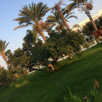 фото из отзыва ID 2042015