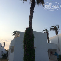 фото из отзыва ID 2042015