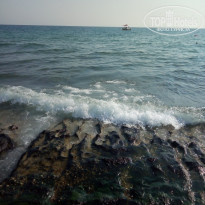 фото из отзыва ID 2042146