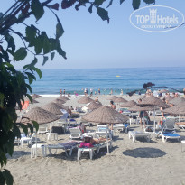 фото из отзыва ID 2041458