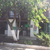 фото из отзыва ID 2042206