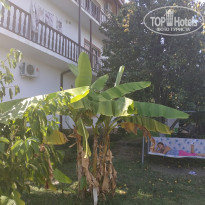 фото из отзыва ID 2042244