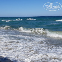 фото из отзыва ID 2040279