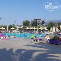 фото из отзыва ID 2040279