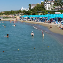 фото из отзыва ID 2042258